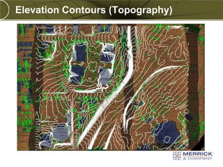 Elevation Contours (Topography)
 