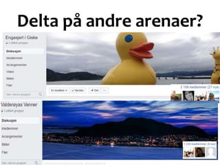 Delta på andre arenaer?
 