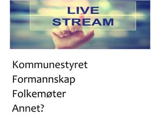 Kommunestyret
Formannskap
Folkemøter
Annet?
 