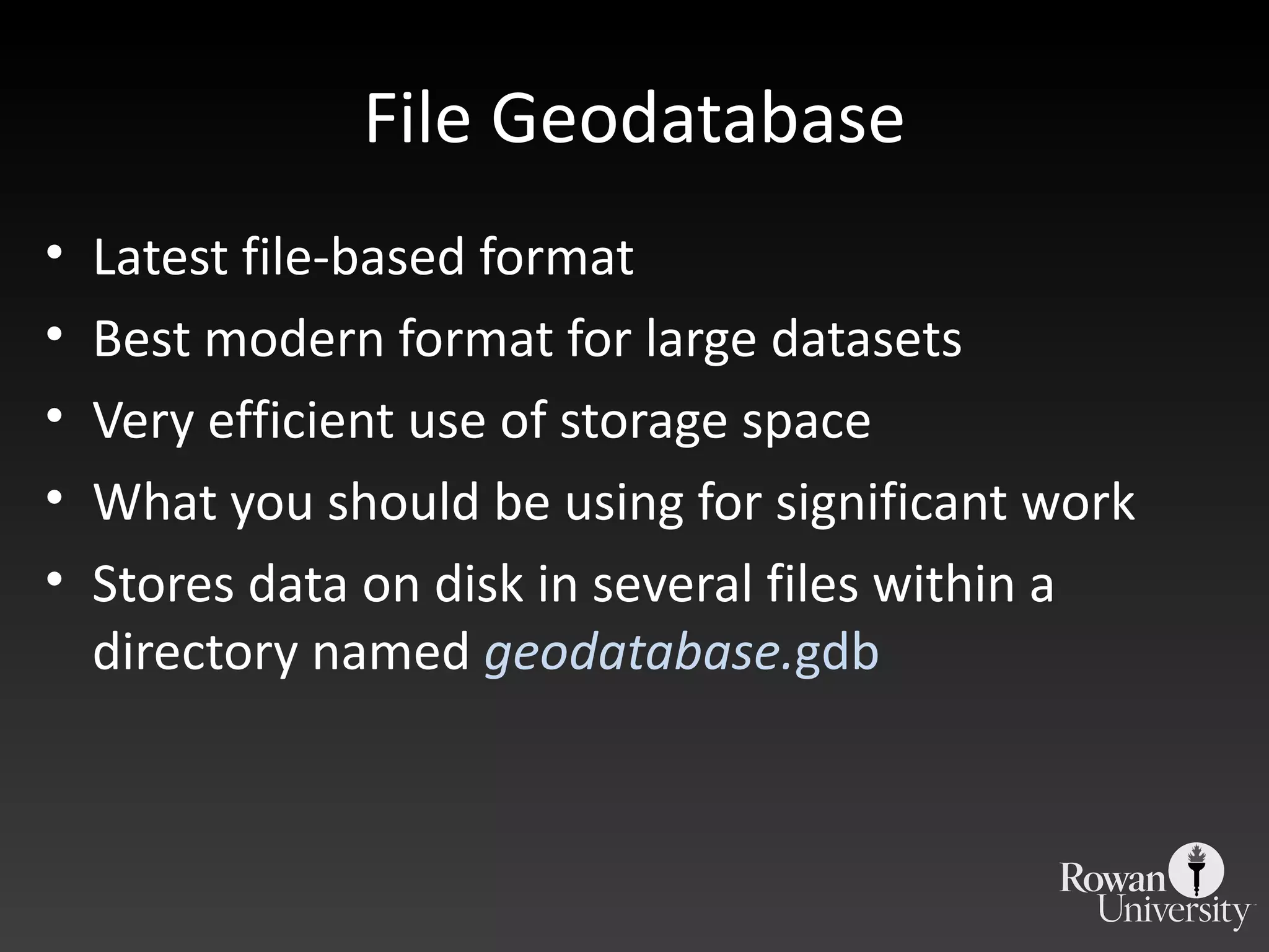 File Geodatabase Latest file-based format Best modern format for large datasets Very efficient use of storage space What you should be using for significant work Stores data on disk in several files within a directory named  geodatabase. gdb 