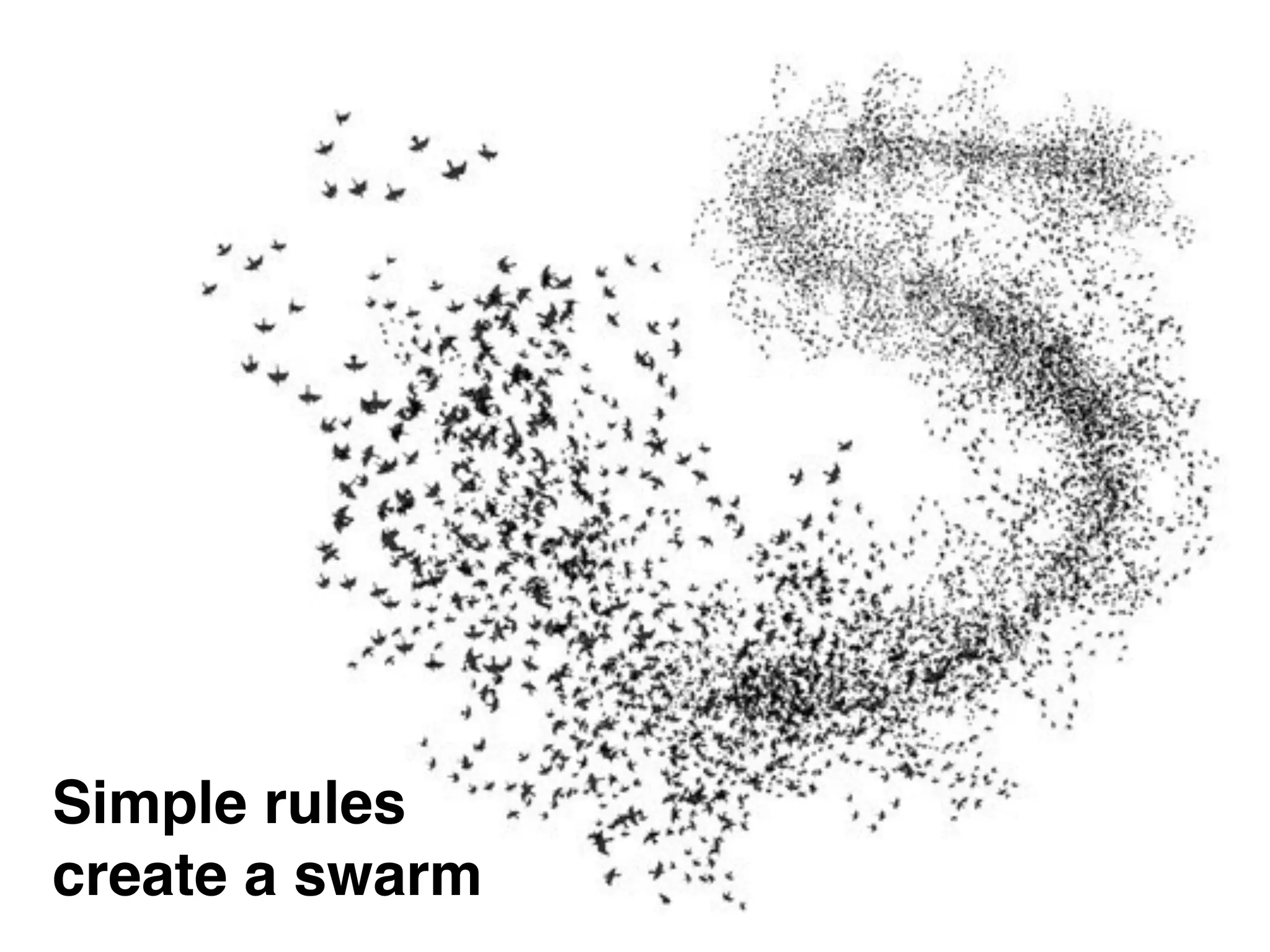 Simple rules
create a swarm
 