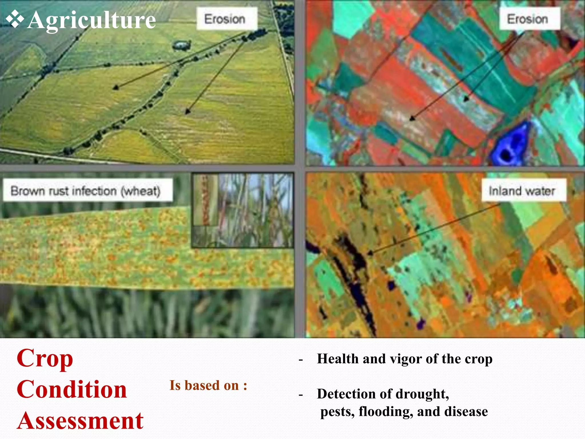 Agriculture

Crop
Condition
Assessment

- Health and vigor of the crop
Is based on :

- Detection of drought,
pests, flooding, and disease

 