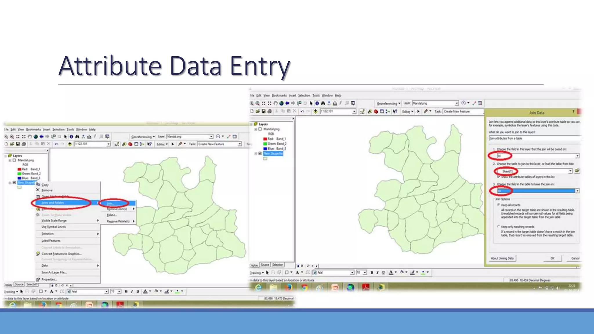 Attribute Data Entry
 