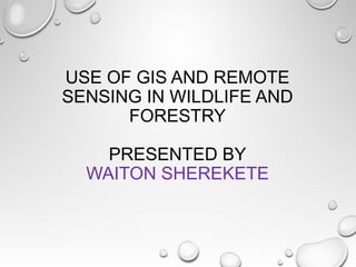 USE OF GIS AND REMOTE
SENSING IN WILDLIFE AND
FORESTRY
PRESENTED BY
WAITON SHEREKETE
 