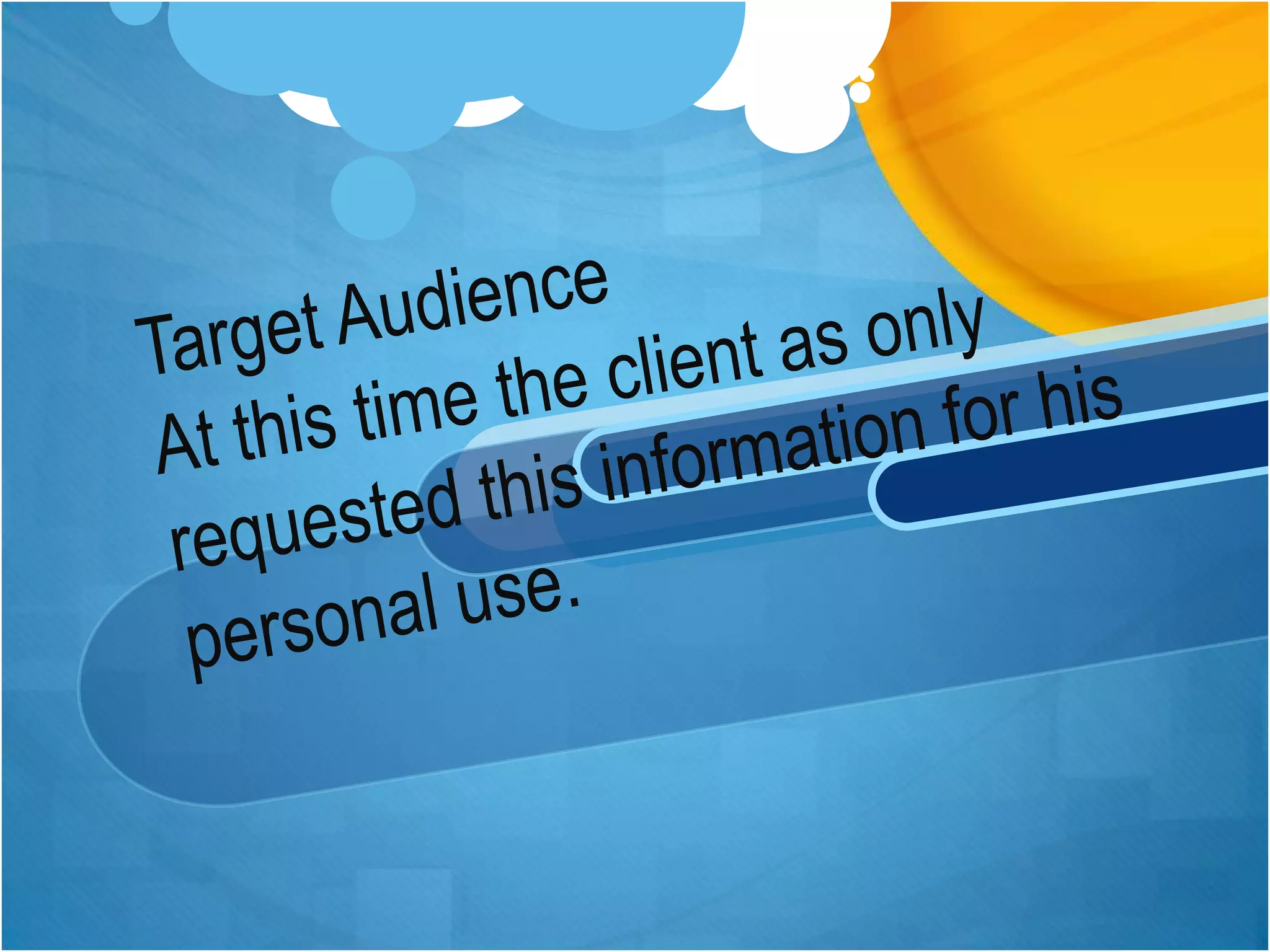Target AudienceAt this time the client as only requested this information for his personal use.