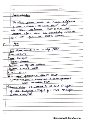 Scanned with CamScanner
 