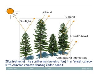 2/20/2024
Biratu, 2024 OBU 67
Illustration of the scattering (penetration) in a forest canopy
with common remote sensing radar bands
 