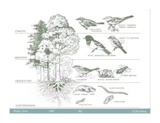 2/20/2024
Biratu, 2024 OBU 69
 
