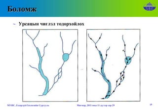 Боломж
    ∼ Урсацын чиглэл тодорхойлох




МУИС, Газарзүй-Геологийн Сургууль   Мягмар, 2011 оны 11 дүгээр сар 29   19
 