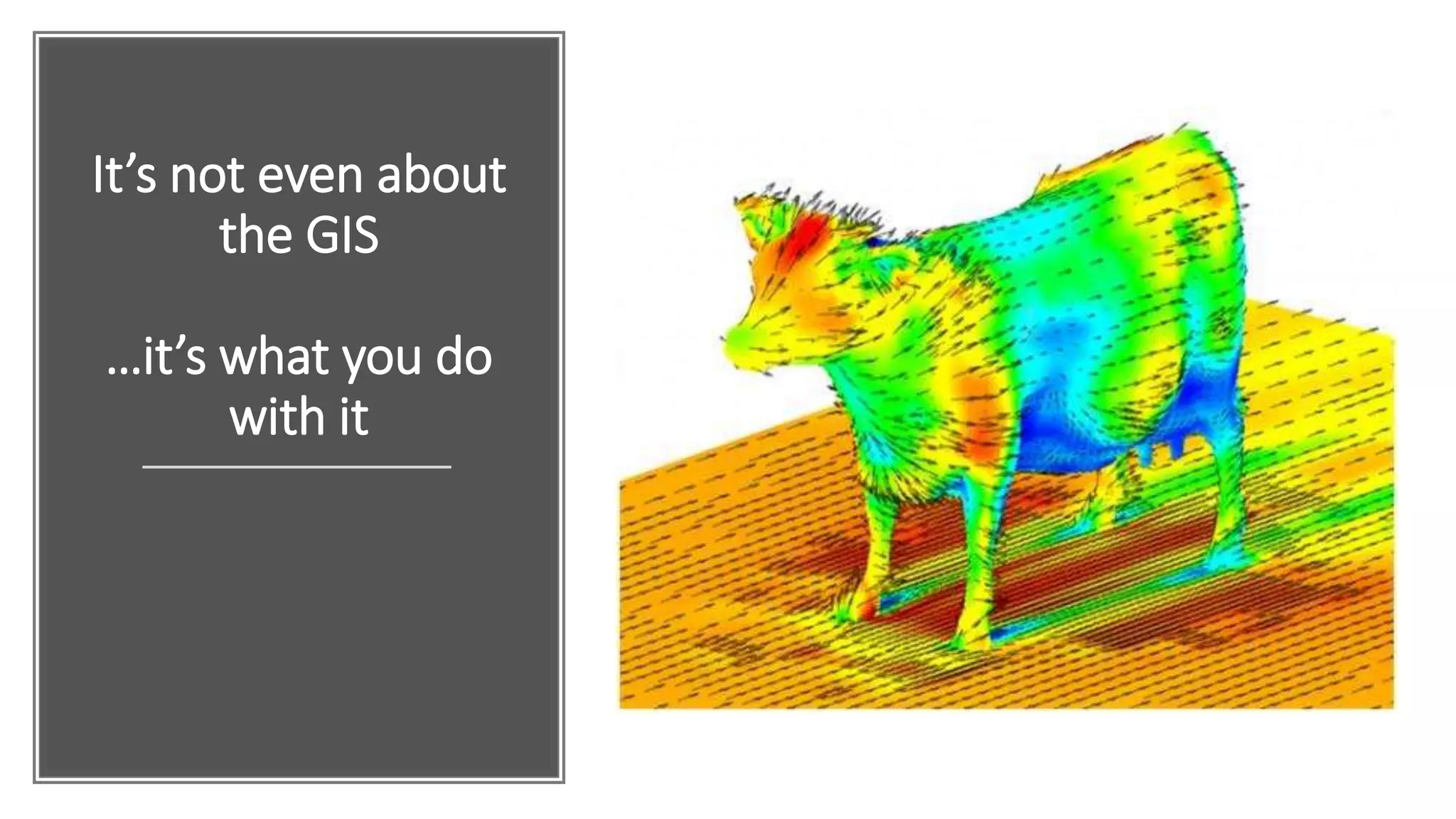 It’s not even about
the GIS
…it’s what you do
with it
 