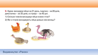 Видавництво «Ранок»
 