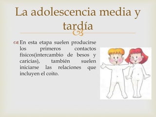 
En esta etapa suelen producirse
los primeros contactos
físicos(intercambio de besos y
caricias), también suelen
iniciarse las relaciones que
incluyen el coito.
La adolescencia media y
tardía