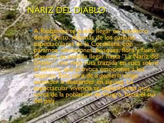 NARIZ DEL DIABLO  A Riobamba se puede llegar en autoferro desde Quito. Además de los paisajes espectaculares de la Cordillera, con páramos, elevaciones, bosques, flora y fauna silvestre, es posible llegar hasta “La Nariz del Diablo”, una vieja ruta trazada en roca sobre el abismo, que provoca emociones a los viajeros. Esta obra de ingeniería exige ascender o descender en zig-zag. La espectacular vivencia se experimenta muy cerca de la población de Huigra, hacia el sur del país 