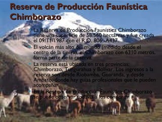 Reserva de Producción Faunística Chimborazo La Reserva de Producción Faunística Chimborazo tiene una superficie de 58.560 hectáreas y fue creada el 09/11/1987 con el R.O. 806 -A437. El volcán más alto del mundo (medido desde el centro de la tierra), el Chimborazo con 6310 metros, forma parte de la reserva. La reserva está ubicada en tres provincias: Chimborazo, Tungurahua y Bolívar. Los ingresos a la reserva son desde Riobamba, Guaranda, y desde Ambato, donde hay guías profesionales que le pueden acompañar. En la Reserva de Producción Faunística Chimborazo se puede observar todavía a los cóndores. 