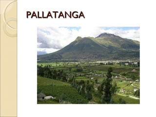 PALLATANGA 