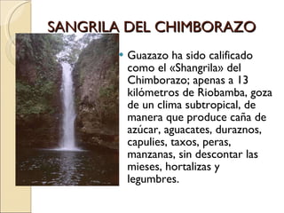 SANGRILA DEL CHIMBORAZO Guazazo ha sido calificado como el «Shangrila» del Chimborazo; apenas a 13 kilómetros de Riobamba, goza de un clima subtropical, de manera que produce caña de azúcar, aguacates, duraznos, capulies, taxos, peras, manzanas, sin descontar las mieses, hortalizas y legumbres. 