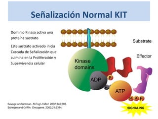 Señalización Normal KIT
PP P
ADP P
P
PP P
ATP
SIGNALING
Kinase
domains
Substrate
Effector
• Dominio Kinasa activa una
proteína sustrato
• Este sustrato activado inicia
Cascada de Señalización que
culmina en la Proliferación y
Supervivencia celular
Savage and Antman. N Engl J Med. 2002;346:683.
Scheijen and Griffin. Oncogene. 2002;21:3314.
 