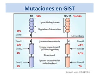 Mutaciones en GIST
90% 5%-10%
67%
1%
1%
2.5%
0.5%
7%
10%
Joensuu H. Lancet 2013;382:973-83
 