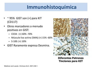 Immunohistoquímica
• ~ 95% GIST son (+) para KIT
(CD117)
• Otros marcadores a menudo
positivos en GIST:
– CD34: (+) 60% -70%
– Músculo liso actina (SMA) (+) 15% -60%
– S-100: (+) 10%
• GIST Raramente expresa Desmina.
Diferentes Patrones
Tinciones para KIT
Miettinen and Lasota. Virchows Arch. 2001;438:1.
 