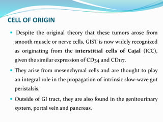 CELL OF ORIGIN
 Despite the original theory that these tumors arose from
smooth muscle or nerve cells, GIST is now widely recognized
as originating from the interstitial cells of Cajal (ICC),
given the similar expression of CD34 and CD117.
 They arise from mesenchymal cells and are thought to play
an integral role in the propagation of intrinsic slow-wave gut
peristalsis.
 Outside of GI tract, they are also found in the genitourinary
system, portal vein and pancreas.
 