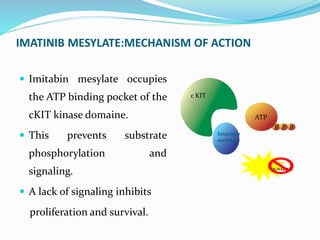 IMATINIB MESYLATE:MECHANISM OF ACTION
 Imitabin mesylate occupies
the ATP binding pocket of the
cKIT kinase domaine.
 This prevents substrate
phosphorylation and
signaling.
 A lack of signaling inhibits
proliferation and survival.
SIGNALING
P
PP P
ATP
Imatinib
mesylate
c KIT
 