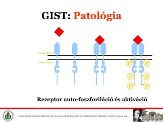 GIST :  ʲٴǱó P P P P P P Extracellular is Intracellular is Receptor  a uto- f os zf or i l áció és aktiváció 
