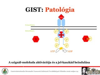 GIST :  ʲٴǱó P P P P P P Extracellular is Intracellular is P Ligand ATP ADP Y Y Y A szignál-molekula aktivációja és a jel-kaszkád beindulása 