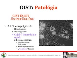 GIST:  ʲٴǱó GIST ÉS KIT ÖSSZEFÜGGÉSE A KIT szerepet játszik: Hematopoesis Melanogenesis Cajal-f. interstitialis sejtek   differentációjában GI simaizomba beágyazva KIT+ sejtek hálózata „ Pacemaker ” funkció 