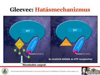 Gleevec:  Hatásmechanizmus KIT Növekedési szignál Az imatinib kötődik az ATP receptorhoz KIT 