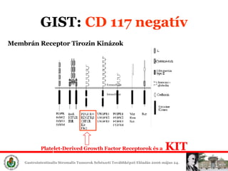 GIST :  CD 117 negatív Extracellular Intracellular Membr án  Receptor T i ro zin  Kin ázok Platelet-Derived Growth Factor Receptor ok   és a  KIT 