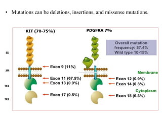 • Mutations can be deletions, insertions, and missense mutations.
 