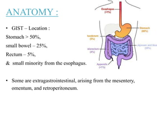 ANATOMY :
• GIST – Location :
Stomach > 50%,
small bowel – 25%,
Rectum – 5%,
& small minority from the esophagus.
• Some are extragastrointestinal, arising from the mesentery,
omentum, and retroperitoneum.
 
