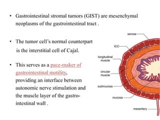 • Gastrointestinal stromal tumors (GIST) are mesenchymal
neoplasms of the gastrointestinal tract .
• The tumor cell’s normal counterpart
is the interstitial cell of Cajal.
• This serves as a pace-maker of
gastrointestinal motility,
providing an interface between
autonomic nerve stimulation and
the muscle layer of the gastro-
intestinal wall .
 