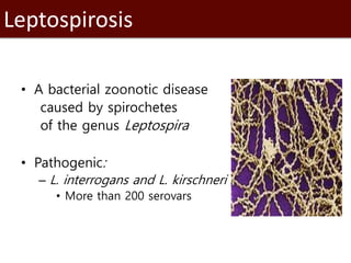 Introduction to SaTScan, seasonality and time series analysis