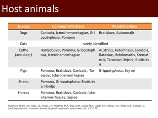 Introduction to SaTScan, seasonality and time series analysis