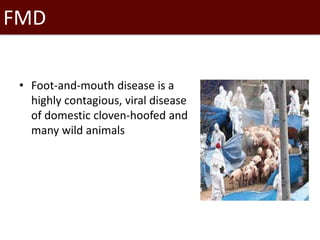 Introduction to SaTScan, seasonality and time series analysis