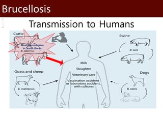Introduction to SaTScan, seasonality and time series analysis