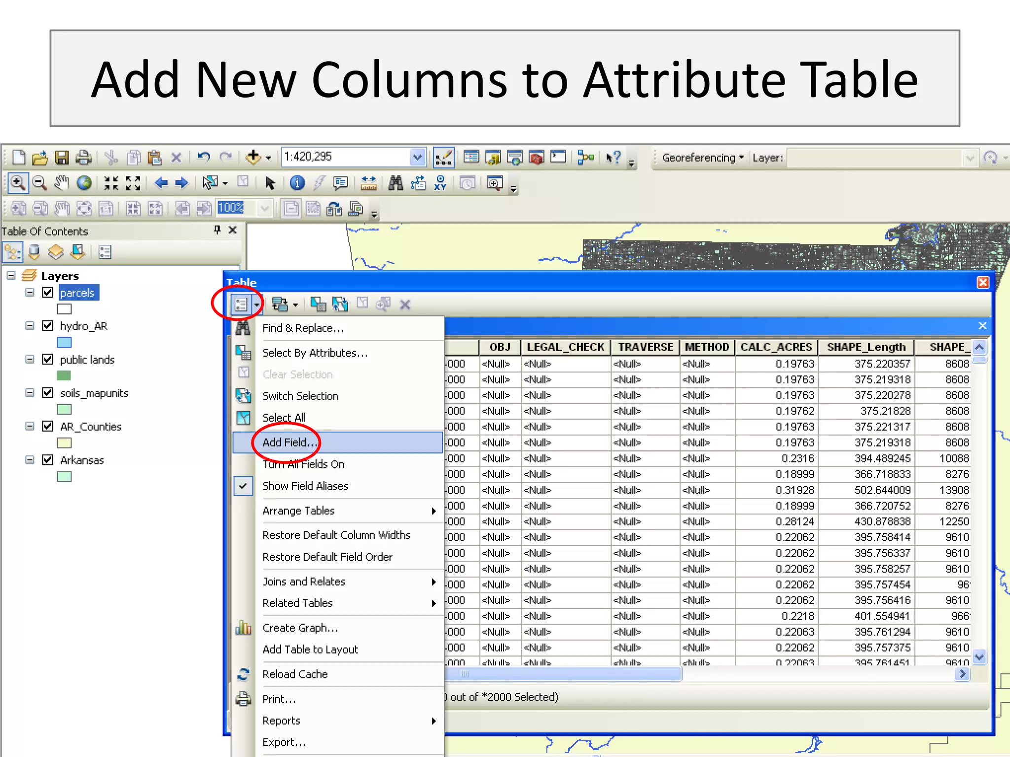 Add New Columns to Attribute Table
 