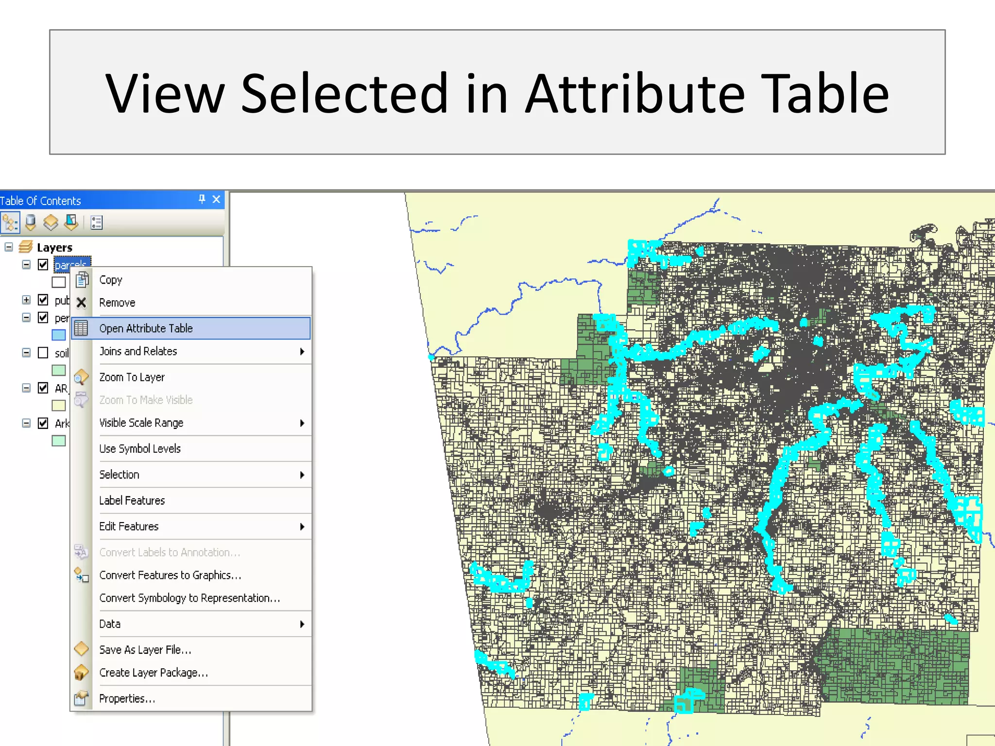 View Selected in Attribute Table
 