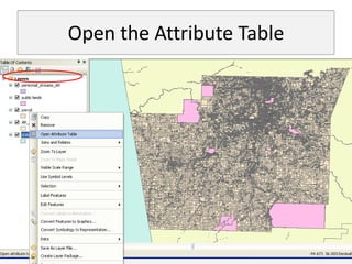 Open the Attribute Table
 
