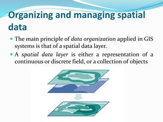 Organizing and managing spatial
data
 The main principle of data organization applied in GIS
systems is that of a spatial data layer.
 A spatial data layer is either a representation of a
continuous or discrete field, or a collection of objects
 
