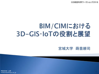 Makanae Lab
makanae@myu.ac.jp
宮城大学 蒔苗耕司
1
GIS高度利用ワークショップ2018
 