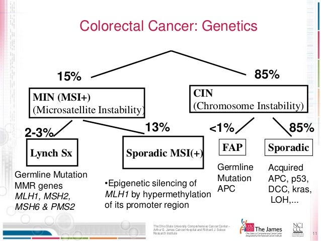 Genes and mechanisms in colorectal cancer crc