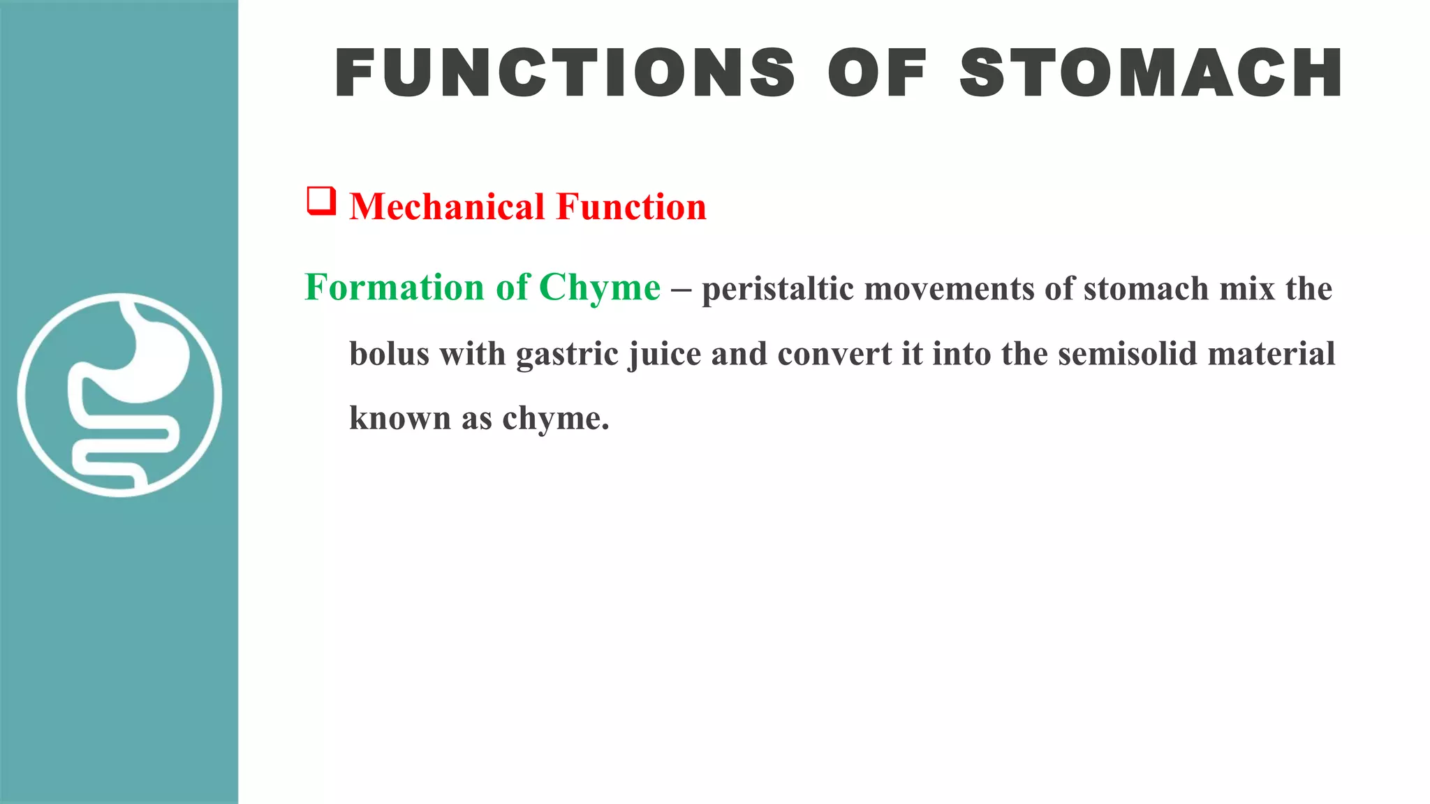 Physiology of Digestive System | PPT