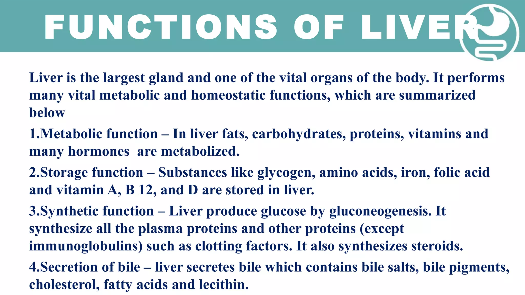 The Liver Performs All Of The Following Metabolic Functions Except