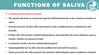FUNCTIONS OF SALIVA
 Cleansing and Protective Functions
• The mouth and teeth are rinsed and kept free off food debris due to the constant secretions of
saliva.
• Enzyme lysozyme of saliva kills some bacteria such as staphylococcus, streptococcus and
brucella.
• Proline rich saliva possess antimicrobial property and neutralizes the toxic substances such as
tannins. Tannins are present in fruits.
• Lactoferrin of saliva also has antimicrobial property.
• Immunoglobulin IgA in saliva also has antibacterial and antiviral actions.
• Mucin present in the saliva protects the mouth by lubricating the mucus membrane of mouth.
 
