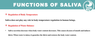 FUNCTIONS OF SALIVA
 Regulation of Body Temperature
Saliva does not play any role in body temperature regulation in human beings.
 Regulation of Water Balance
• Saliva secretion decrease when body water content decreases. This causes dryness of mouth and induces
thirst. When water is taken, it quenches the thirst and restores the body water content.
 