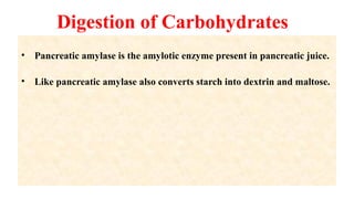 Digestion of Carbohydrates
• Pancreatic amylase is the amylotic enzyme present in pancreatic juice.
• Like pancreatic amylase also converts starch into dextrin and maltose.
 