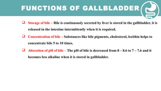 FUNCTIONS OF GALLBLADDER
 Storage of bile – Bile is continuously secreted by liver is stored in the gallbladder, it is
released in the intestine intermittently when it is required.
 Concentration of bile – Substances like bile pigments, cholesterol, lecithin helps to
concentrate bile 5 to 10 times.
 Alteration of pH of bile – The pH of bile is decreased from 8 – 8.6 to 7 – 7.6 and it
becomes less alkaline when it is stored in gallbladder.
 