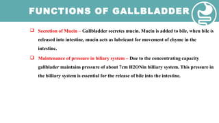 FUNCTIONS OF GALLBLADDER
 Secretion of Mucin – Gallbladder secretes mucin. Mucin is added to bile, when bile is
released into intestine, mucin acts as lubricant for movement of chyme in the
intestine.
 Maintenance of pressure in biliary system – Due to the concentrating capacity
gallblader maintains pressure of about 7cm H2ONin billiary system. This pressure in
the billiary system is essential for the release of bile into the intestine.
 